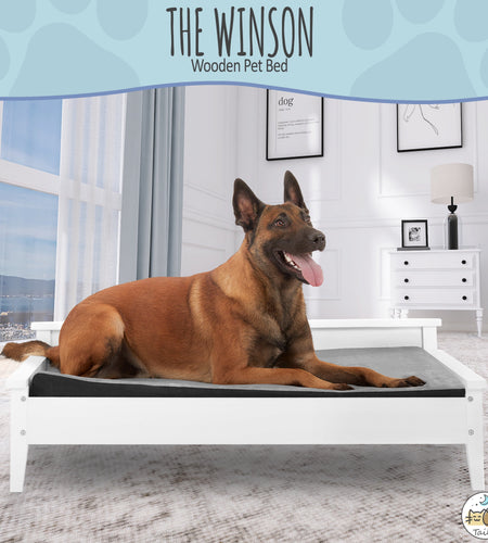 Winston Large Elevated Wooden Pet Bed with Mattress, White