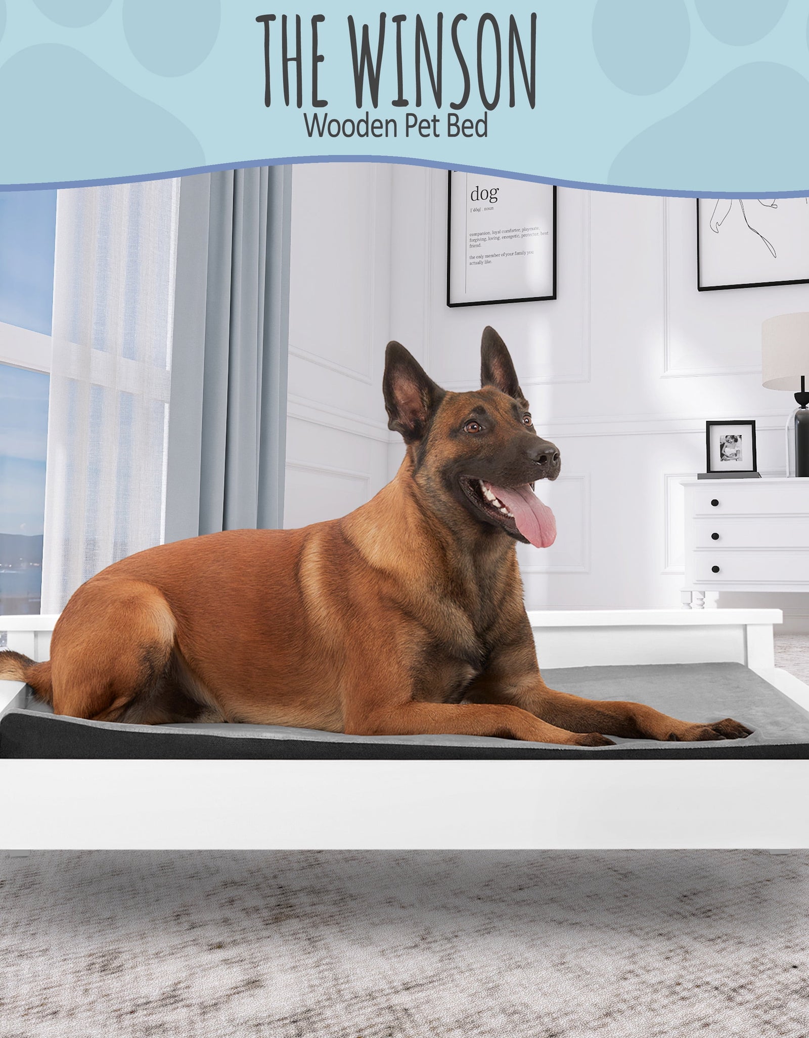 Winston Large Elevated Wooden Pet Bed with Mattress, White