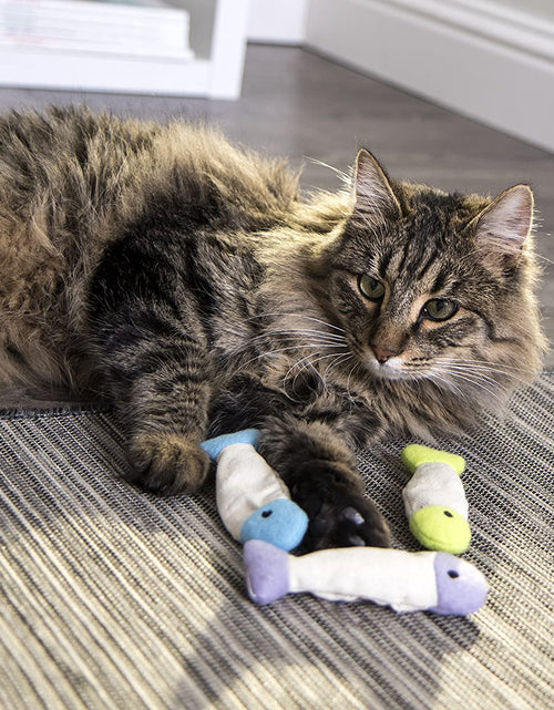 Load image into Gallery viewer, (3 Count) Fish Flop Crinkle Catnip Cat Toys - Multi Color, 3 Count
