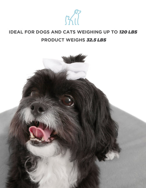 Load image into Gallery viewer, Winston Large Elevated Wooden Pet Bed with Mattress, White
