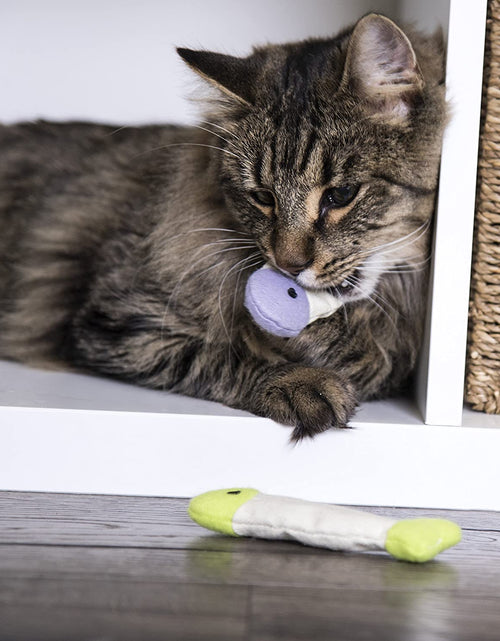 Load image into Gallery viewer, (3 Count) Fish Flop Crinkle Catnip Cat Toys - Multi Color, 3 Count
