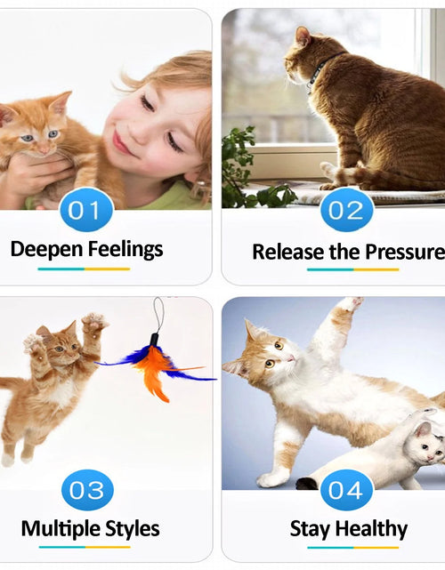 Load image into Gallery viewer, 11 PCS Cat Feather Toy, Multiple Styles Feather Refills for Cat Toys, Replacement Feather Toy with Bell Refills, Interactive Catcher Teaser and Funny Exercise for Kitten or Cats
