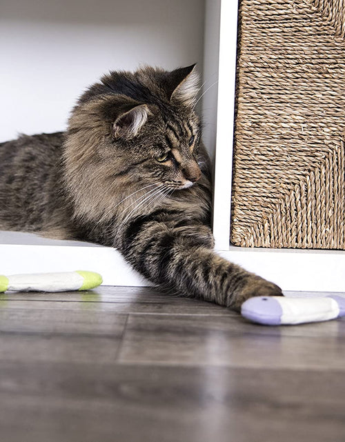 Load image into Gallery viewer, (3 Count) Fish Flop Crinkle Catnip Cat Toys - Multi Color, 3 Count
