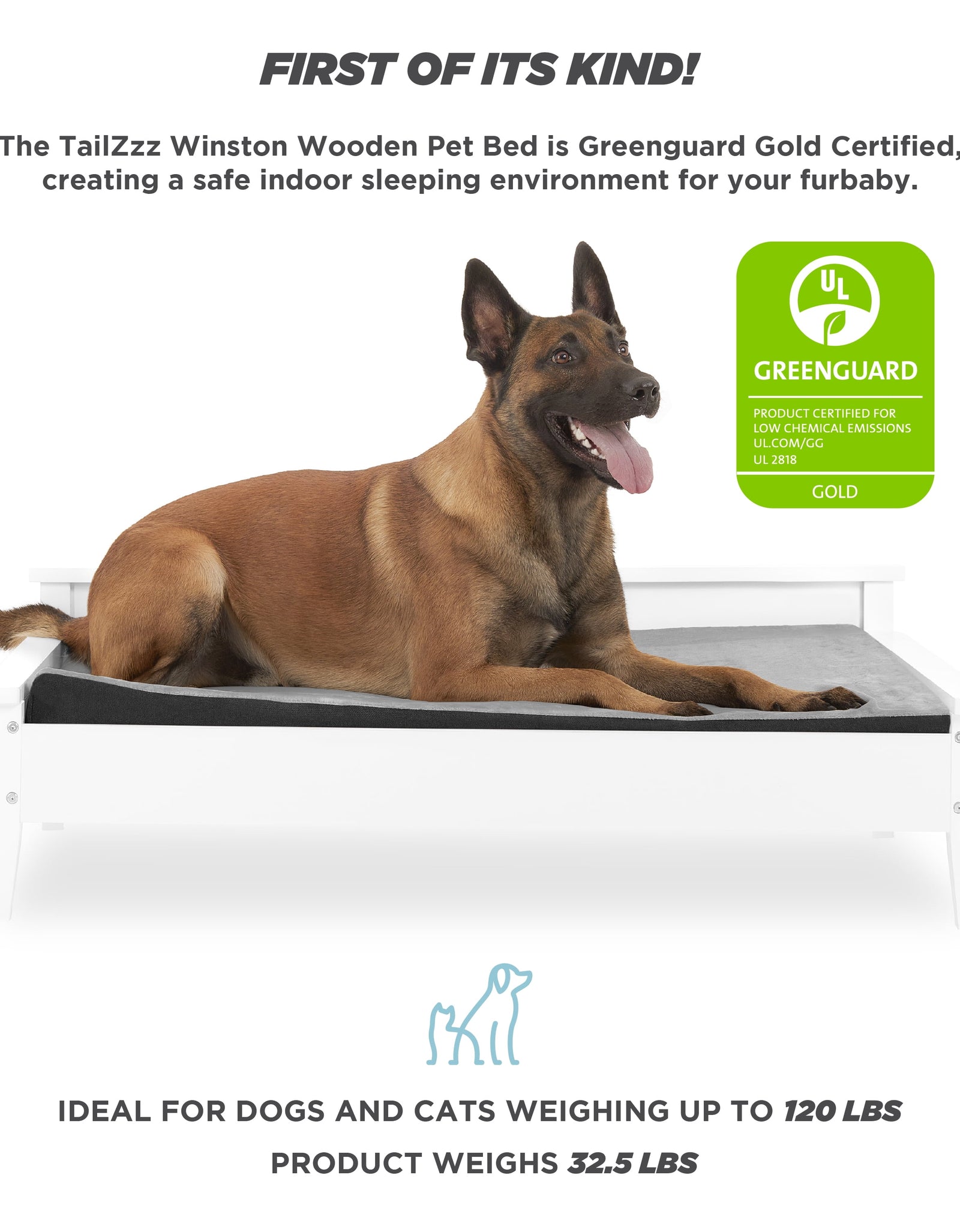 Winston Large Elevated Wooden Pet Bed with Mattress, White