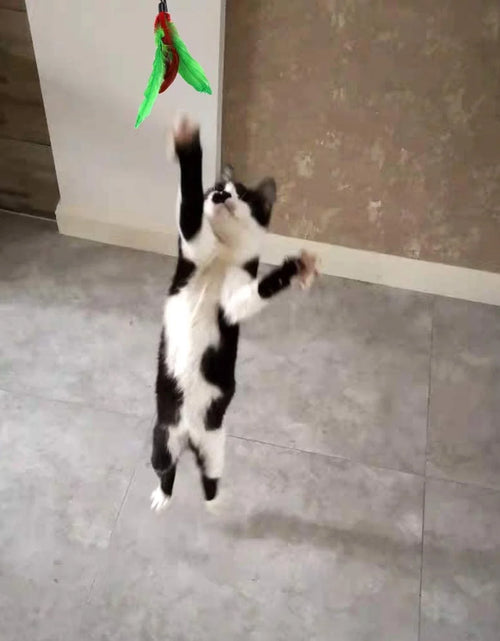 Load image into Gallery viewer, 11 PCS Cat Feather Toy, Multiple Styles Feather Refills for Cat Toys, Replacement Feather Toy with Bell Refills, Interactive Catcher Teaser and Funny Exercise for Kitten or Cats
