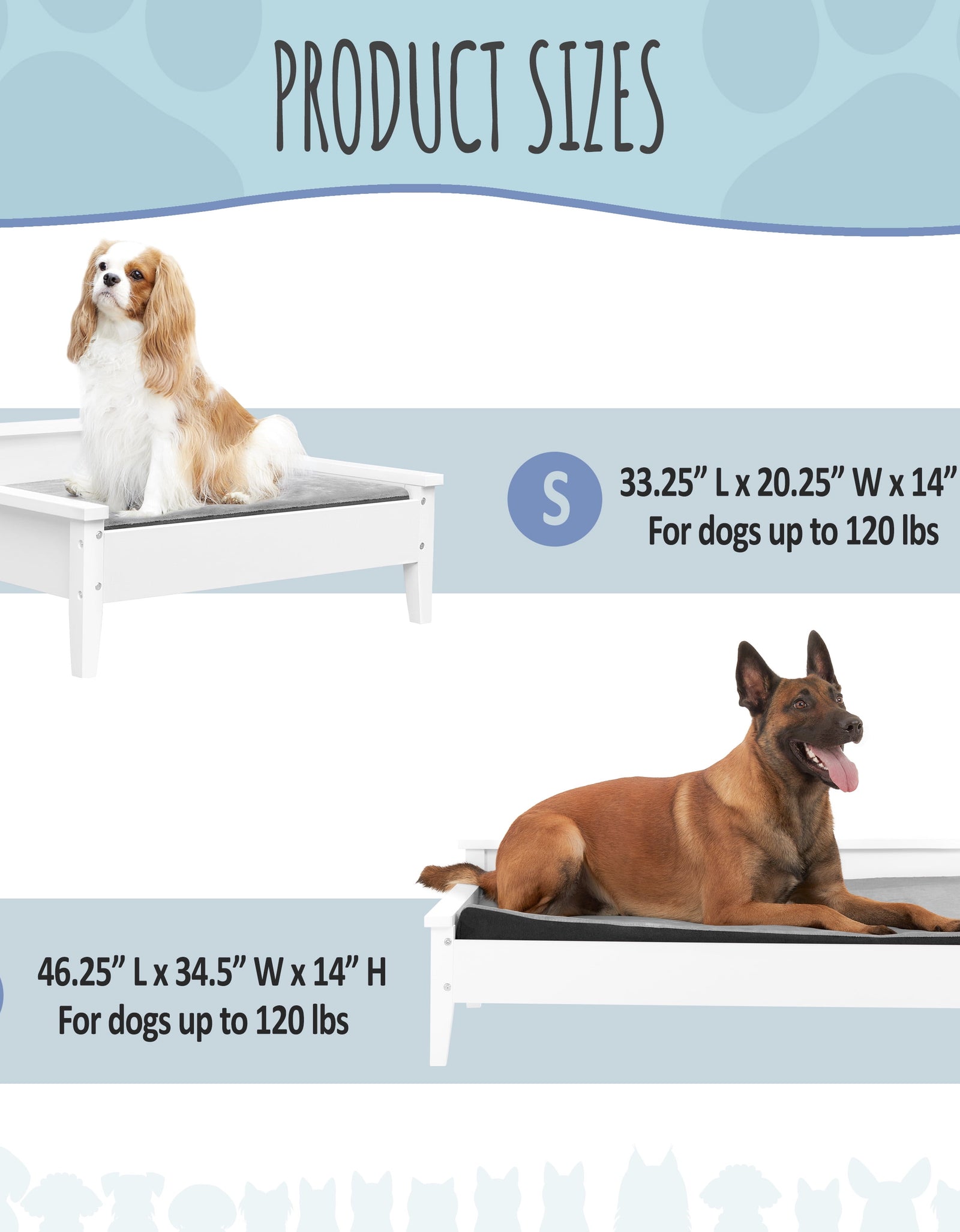 Winston Large Elevated Wooden Pet Bed with Mattress, White