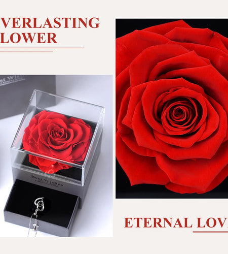 Preserved Red Real Rose with I Love You Necklace in 100 Languages -Eternal Flowers Rose Gifts for Mom Wife Girlfriend Her on Christmas Valentines Day Mother'Sday Anniversary Birthday Gifts for Women
