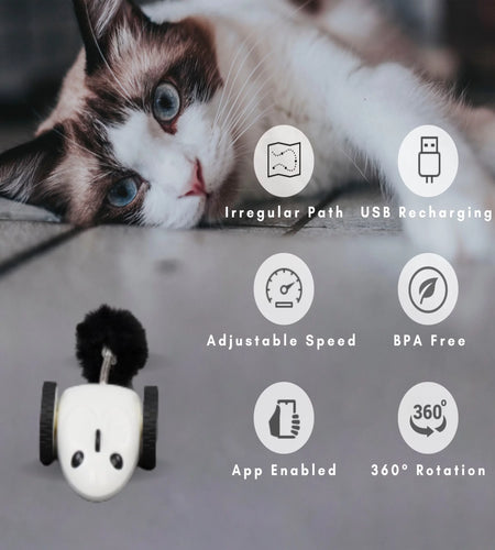 Purechase Smart Cat Toy, Interactive Automatic Mouse Shaped Toy for Pets, App Enabled with Adjustable Speed, Flip Modes, Replaceable Plush Tail and USB Charging for Kittens and Dogs