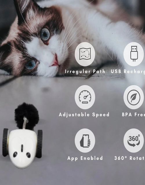 Load image into Gallery viewer, Purechase Smart Cat Toy, Interactive Automatic Mouse Shaped Toy for Pets, App Enabled with Adjustable Speed, Flip Modes, Replaceable Plush Tail and USB Charging for Kittens and Dogs
