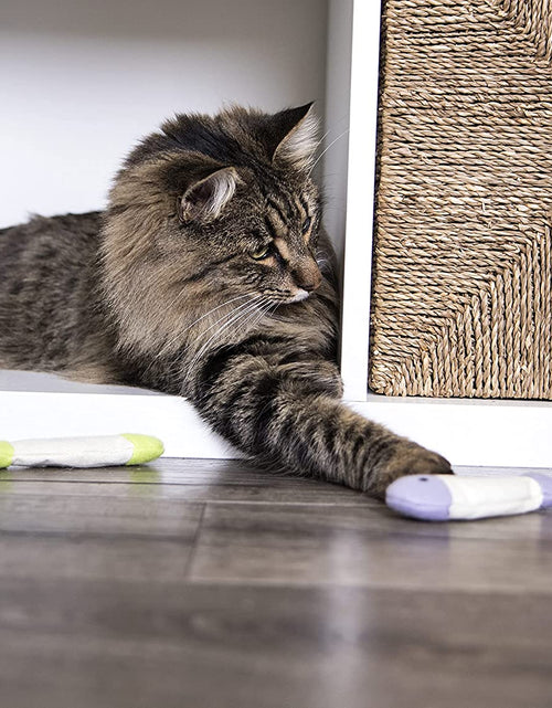 Load image into Gallery viewer, (3 Count) Fish Flop Crinkle Catnip Cat Toys - Multi Color, 3 Count
