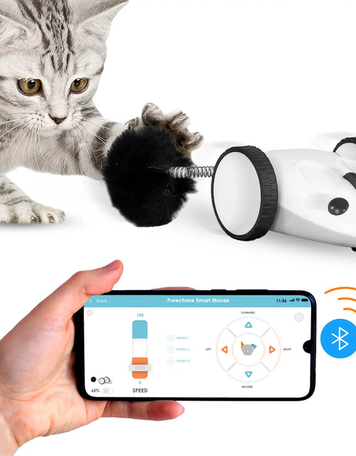 Load image into Gallery viewer, Purechase Smart Cat Toy, Interactive Automatic Mouse Shaped Toy for Pets, App Enabled with Adjustable Speed, Flip Modes, Replaceable Plush Tail and USB Charging for Kittens and Dogs
